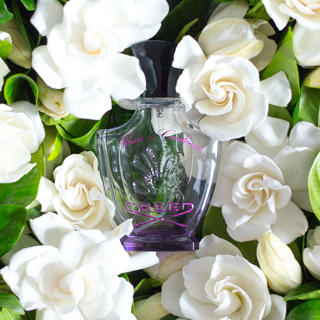 کرید فلورز د گاردنیا | Creed Fleurs de Gardenia