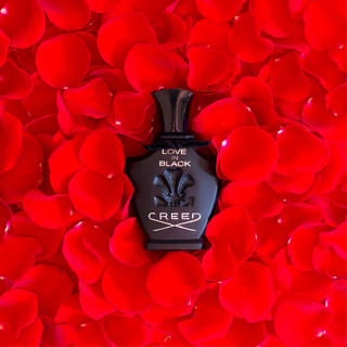 عطر ادکلن کرید لاو این بلک | Creed Love In Black