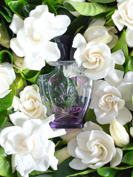 کرید فلورز د گاردنیا | Creed Fleurs de Gardenia