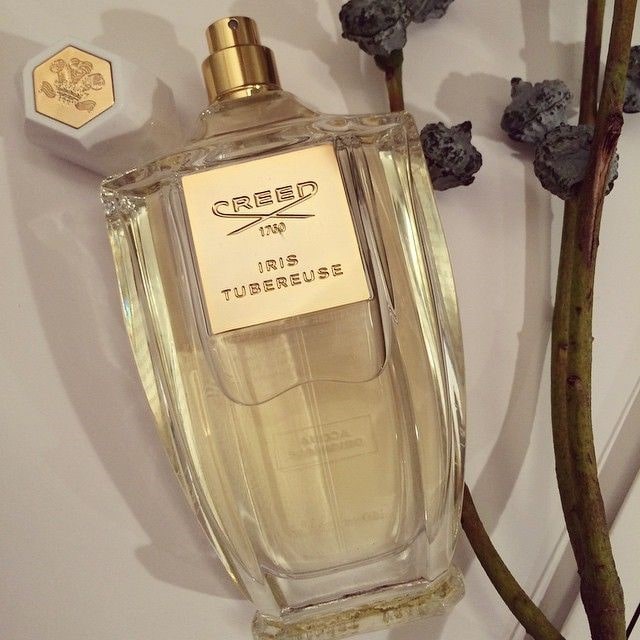 عطر ادکلن کرید ایریس تیوب رز | Creed Iris Tubereuse