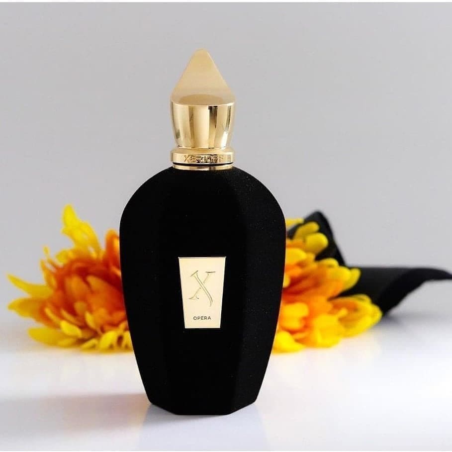 عطر ادکلن زرجف زرژاف اوپرا | Xerjoff Opera